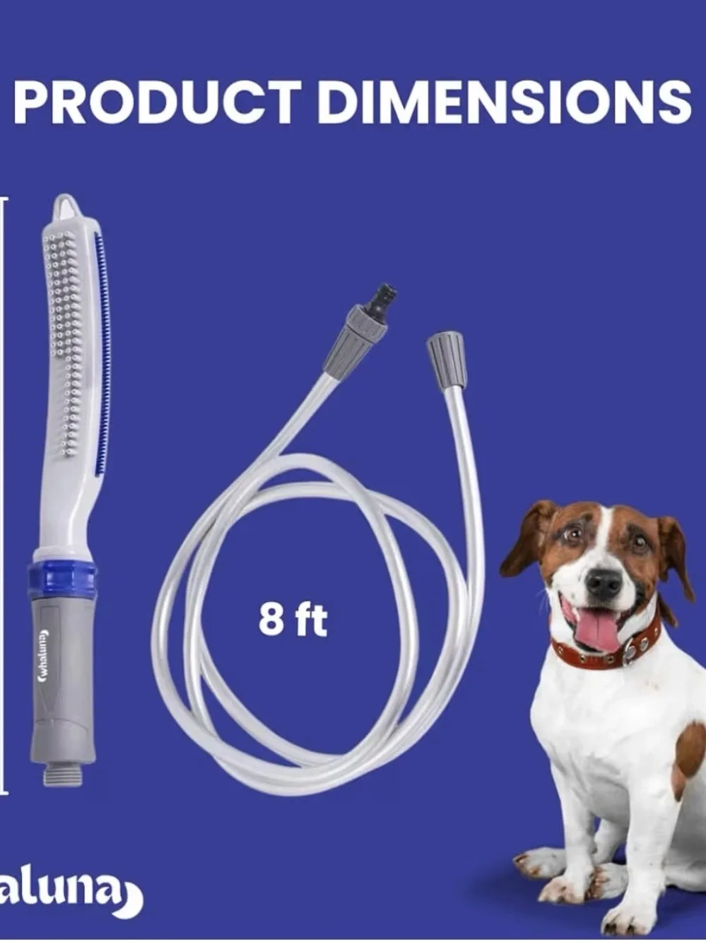 Waterpik Hose with Handheld Wand